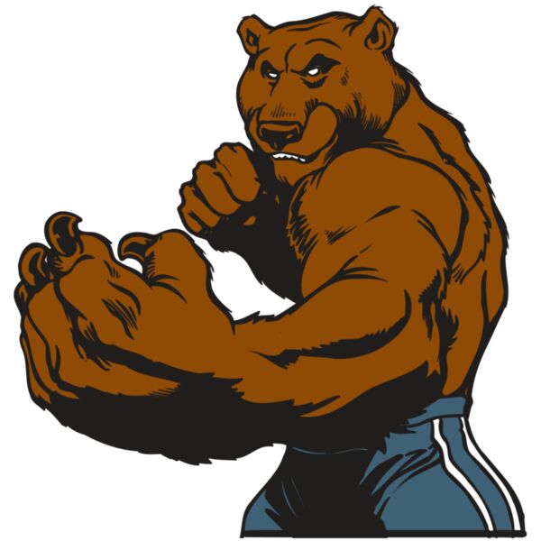 AR BEAR 31 RC Thumbnail