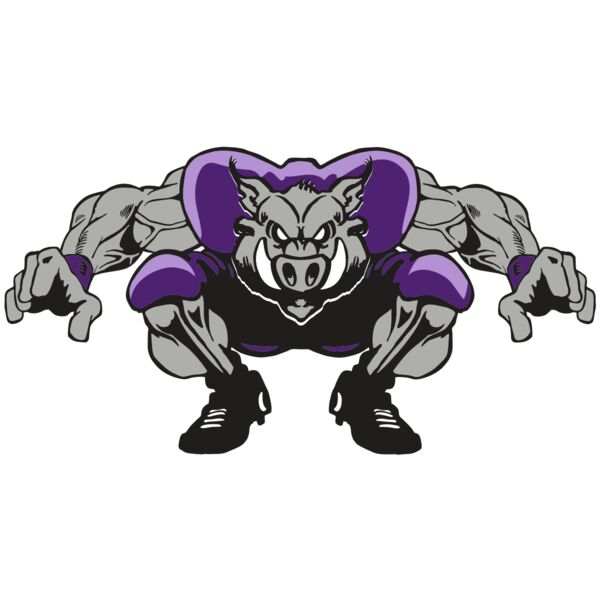 AR RAZORBACK 28 RC Thumbnail