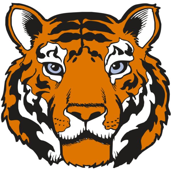 BAW TIGER 02 RC Thumbnail